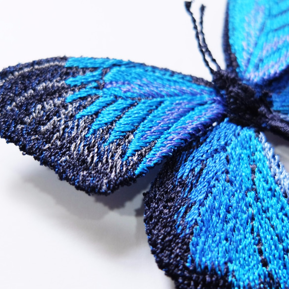 刺繡蝴蝶。天堂鳳蝶 Papilio ulysses 大型 別針 第3張的照片