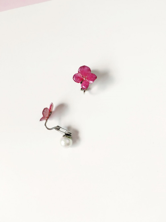 *Haku‧Neko* 深粉紅繡球花真花朵後棉棉珠兩用款耳夾 (立體真花系列) 第2張的照片