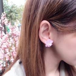 *Haku‧Neko* [さくらの花限定シリーズ] yaezakura多層花びら[15/8に順序を受け入れるために]ピンクの桜の 3枚目の画像