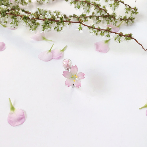 *Haku‧Neko* [さくらの花限定シリーズ]手描きのピンクの桜ピンクパールビーズを点滅ミニガラス玉シルバーリングリング[1 1枚目の画像