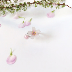 *Haku‧Neko* [さくらの花限定シリーズ]白手描きの桜ピンクのクリスタルビーズを輝くミニガラス玉シルバーリングリング[1 1枚目の画像