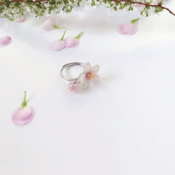 *Haku‧Neko* [さくらの花限定シリーズ]白手描きの桜ピンクのクリスタルビーズを輝くミニガラス玉シルバーリングリング[1 2枚目の画像