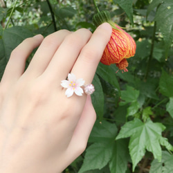 *Haku‧Neko* [さくらの花限定シリーズ]白手描きの桜ピンクのクリスタルビーズを輝くミニガラス玉シルバーリングリング[1 3枚目の画像