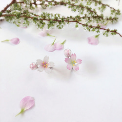 *Haku‧Neko* [さくらの花限定シリーズ]白手描きの桜ピンクのクリスタルビーズを輝くミニガラス玉シルバーリングリング[1 4枚目の画像