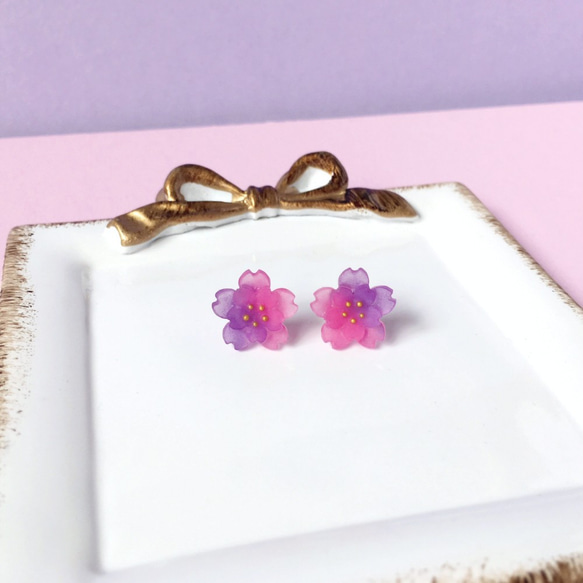 *Haku‧Neko*勾配夜桜の二重勾配紫とピンクの桜のイヤリング[さくらの花限定シリーズ] 2枚目の画像