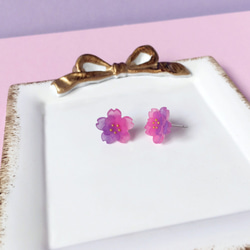 *Haku‧Neko*勾配夜桜の二重勾配紫とピンクの桜のイヤリング[さくらの花限定シリーズ] 3枚目の画像