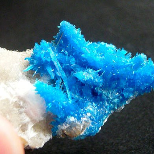 ペンタゴン石 ペンタゴン石 Pentagonite 鉱物たちの庭