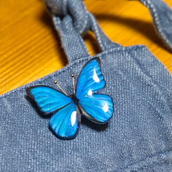 青い蝶々のブローチ 1枚目の画像