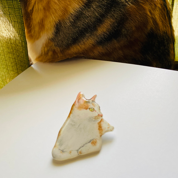 「ザ⭐︎家ネコ」リアル三毛猫ブローチ 3枚目の画像