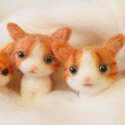 羊毛氈橘子貓小擺飾 第1張的照片