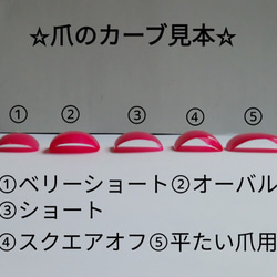 テラコッタべっこう☆(送料無料) 3枚目の画像