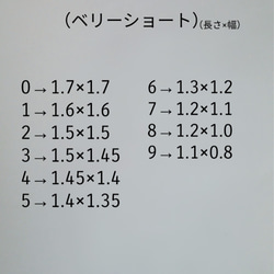 再販多数☆レディレッド(送料無料) 4枚目の画像