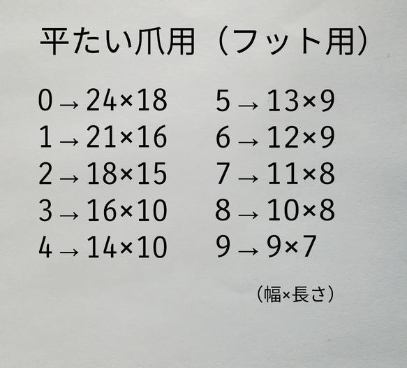 Foot用ネイルチップ☆レインボーシェル☆(送料無料)　親指用2枚セット 4枚目の画像