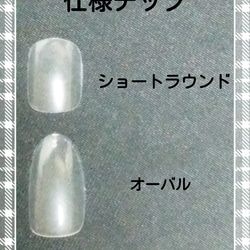 再販☆ 犬好きに☆お洒落なボステリ君☆( 送料無料)☆ 4枚目の画像