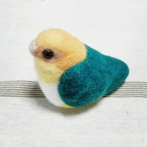 【一時販売中止】〔10cm鳥〕シロハラインコ。N-230★ 1枚目の画像