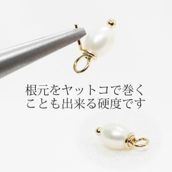 限定卸売り【約30g】先丸ピン0.5×20mm《金色》計量販売 8枚目の画像