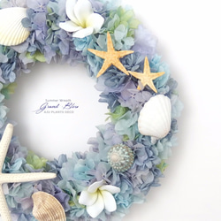 Summer Wreath ～Grand Bleu～（1317）25cm 3枚目の画像