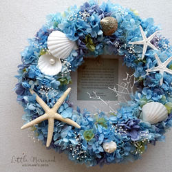 Summer Wreath ～Little Mermaid～　26cm（プリザ） 1枚目の画像