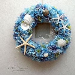Summer Wreath ～Little Mermaid～　26cm（プリザ） 3枚目の画像