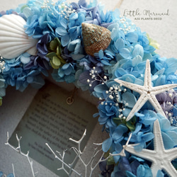Summer Wreath ～Little Mermaid～　26cm（プリザ） 4枚目の画像
