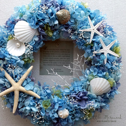 Summer Wreath ～Little Mermaid～　26cm（プリザ） 5枚目の画像