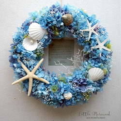 Summer Wreath ～Little Mermaid～　26cm（プリザ） 6枚目の画像