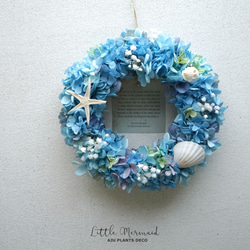 Summer Wreath ～Little Mermaid～　20cm（プリザ） 1枚目の画像