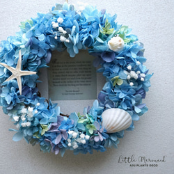 Summer Wreath ～Little Mermaid～　20cm（プリザ） 4枚目の画像