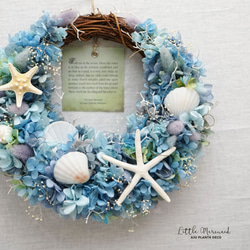 Summer Wreath ～Little Mermaid～　24x25cm（プリザ） 1枚目の画像