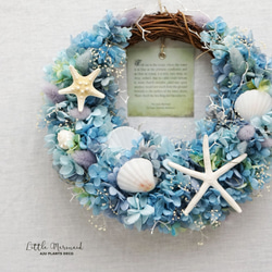 Summer Wreath ～Little Mermaid～　24x25cm（プリザ） 3枚目の画像