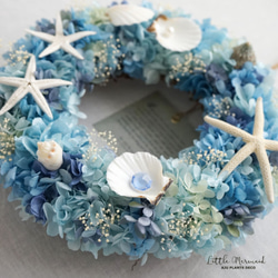 Little Mermaid Wreath ３～人魚の涙～　25cm（プリザ） 5枚目の画像