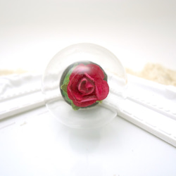 MNII○小王子的玫瑰○圓球形○模型○玻璃球擺飾 第2張的照片