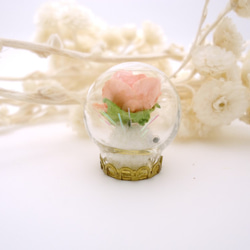 MNII○白精靈的玫瑰花○模型○玻璃球擺飾 第4張的照片