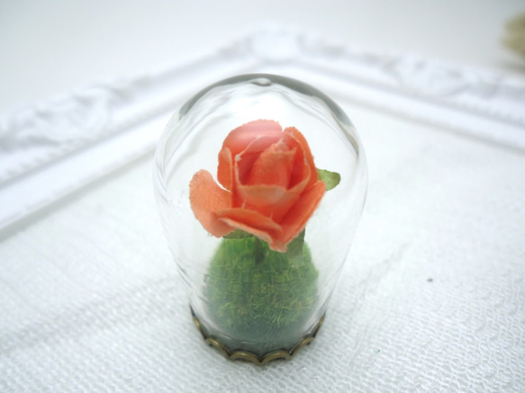 MNII○永恆玫瑰○模型○玻璃瓶擺飾 第7張的照片