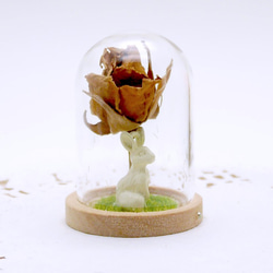 【冬季新作】MNII○兔子與玫瑰○乾燥花○玻璃球擺飾 第3張的照片