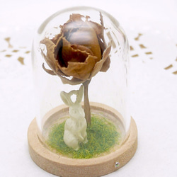 【冬季新作】MNII○兔子與玫瑰○乾燥花○玻璃球擺飾 第6張的照片