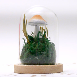【冬季新作】MNII○蘑菇蘑菇○玻璃球擺飾 第2張的照片