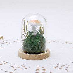 【冬季新作】MNII○蘑菇蘑菇○玻璃球擺飾 第1張的照片