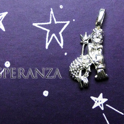2個セット【水瓶座】シルバー12星座チャーム☆水がめ座Sみずがめ 