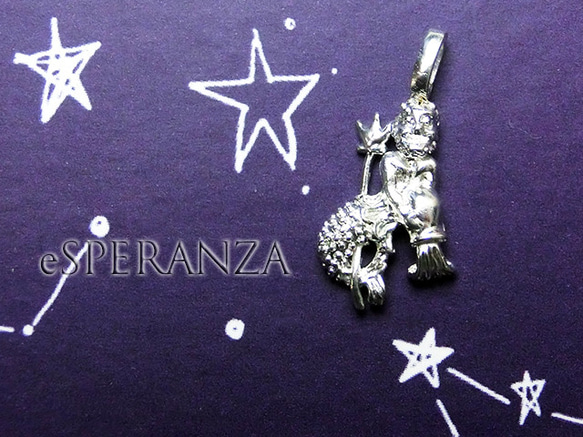 2個セット【水瓶座】シルバー12星座チャーム☆水がめ座Sみずがめ 