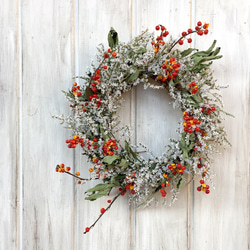 ツルウメモドキのリース Wー362 リース kukulkukka 通販 4832153