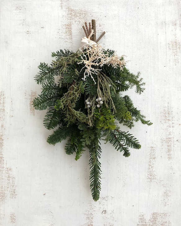 針葉樹のスワッグ (フレッシュ・スワッグ ）期間限定商品 しめ縄