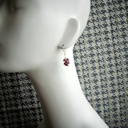 Garnet&Pylite's Jolly Pierce 第5張的照片