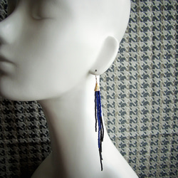 Beads Pierce. ~ fringe ~  (b/b) 3枚目の画像