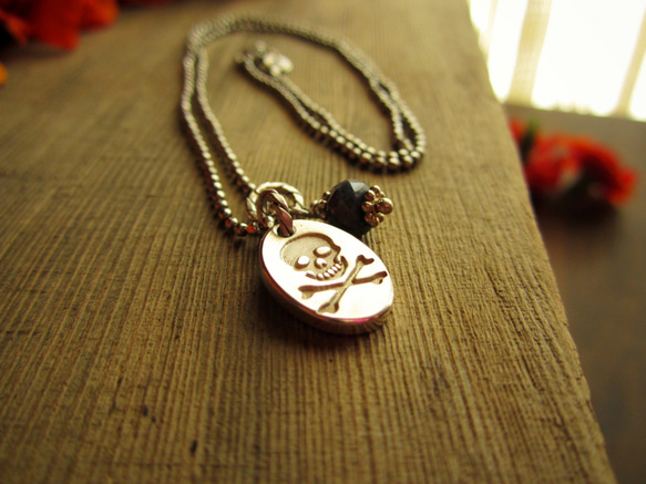 Skull Tag & Sapphire Charm Necklace 第1張的照片