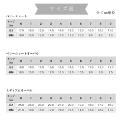 ドライフラワー ゴールド ボタニカル ネイルチップ　 3枚目の画像