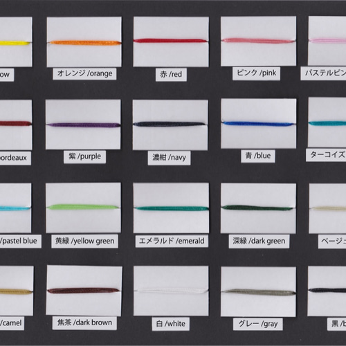 本革フィルムホルダー(ベスト判127フィルム) カメラケース・カメラ