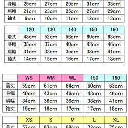  第6張的照片