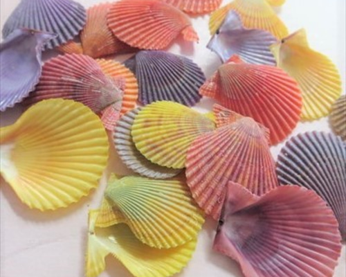 0_86d109b5e721b4b2df88438db580