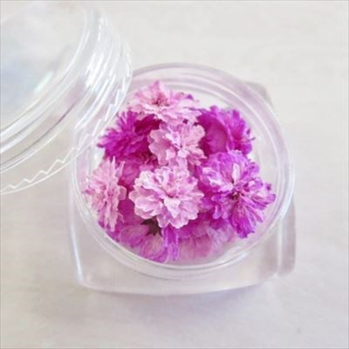 八重コデマリ ピンク色 立体乾燥花 2個 DIYパーツ びわだや 通販